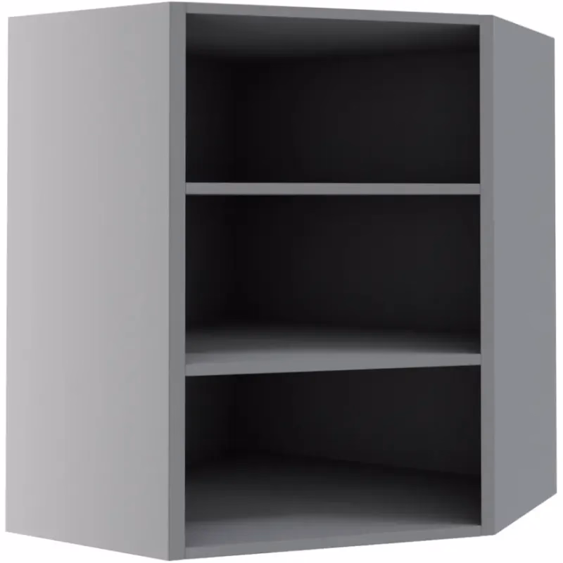 Korpus sivý W 10