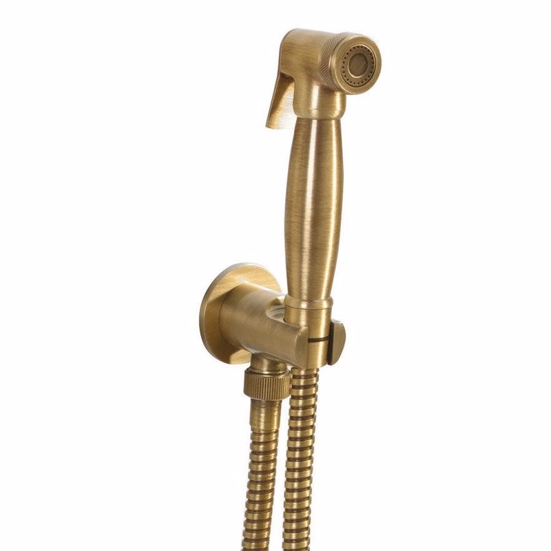SAPHO 9106