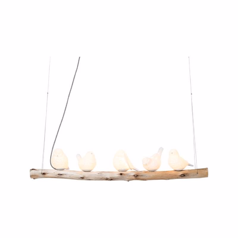 Animal Birds visiaca lampa