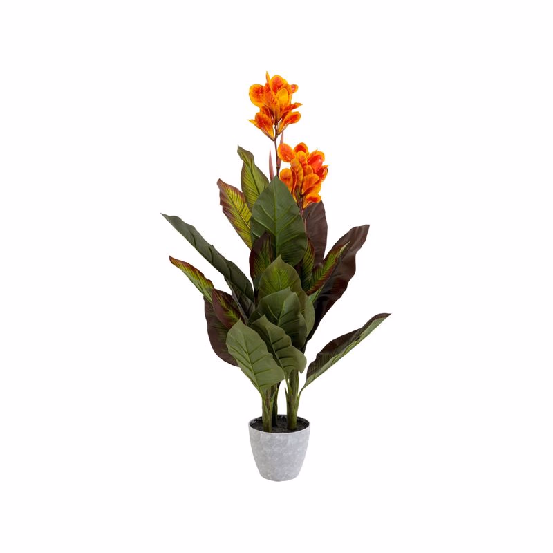 Dekoratívna rastlina Canna Lily 115 cm