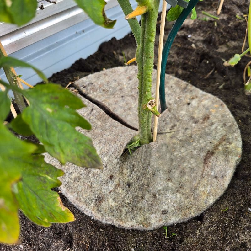 Prírodná záhradná vlna Mary's Disc, 37 cm